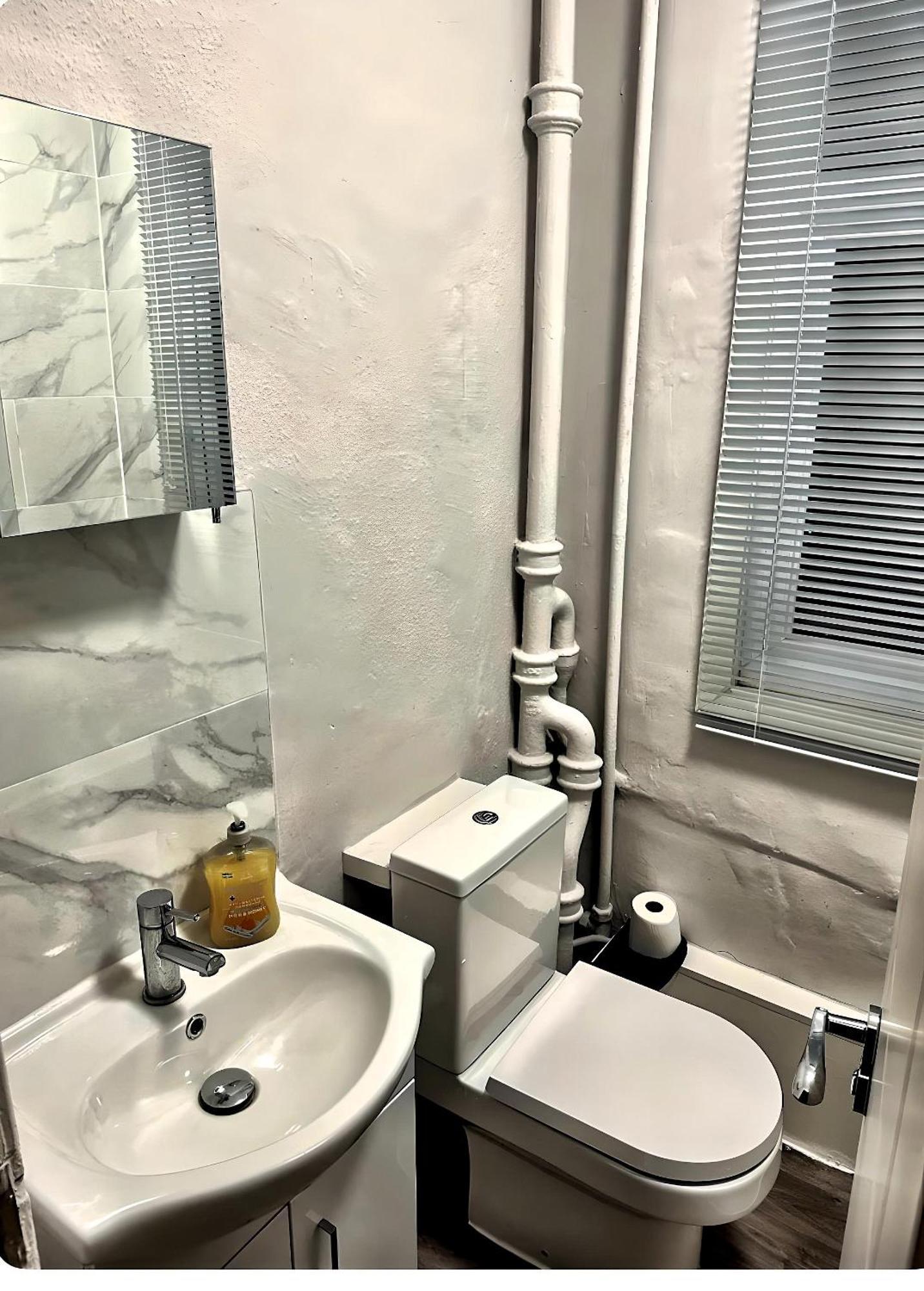 דירות לונדון Brixton Hill Retreat Modern And Cosy מראה חיצוני תמונה