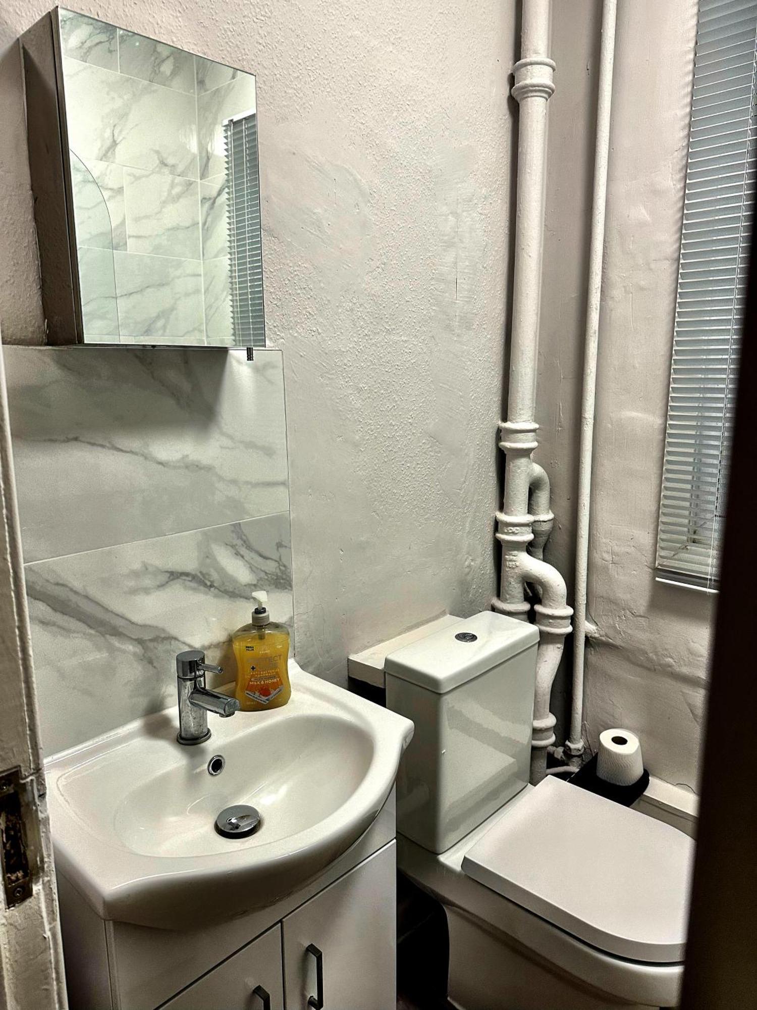 דירות לונדון Brixton Hill Retreat Modern And Cosy מראה חיצוני תמונה