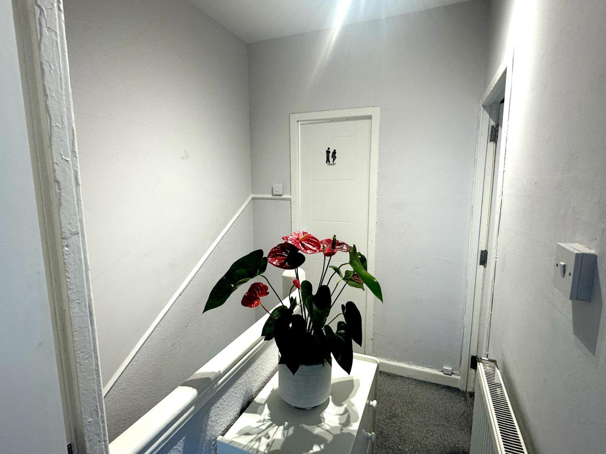 דירות לונדון Brixton Hill Retreat Modern And Cosy מראה חיצוני תמונה