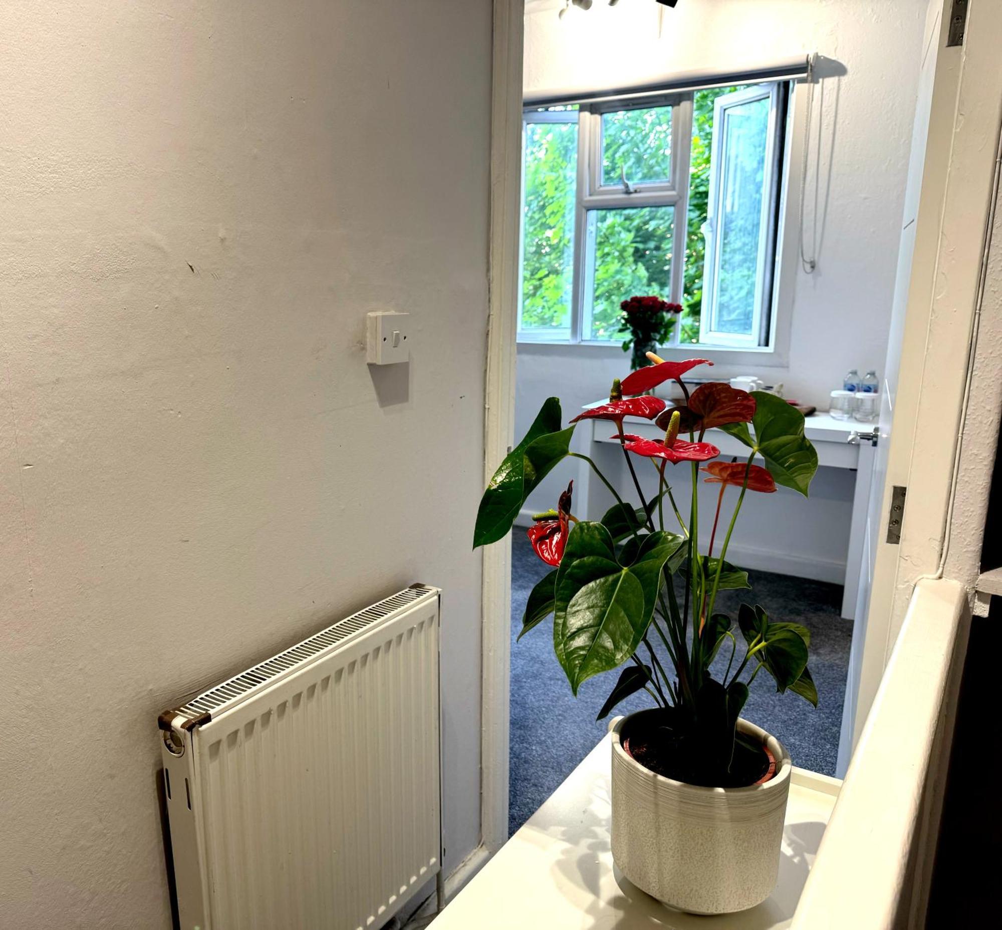 דירות לונדון Brixton Hill Retreat Modern And Cosy מראה חיצוני תמונה